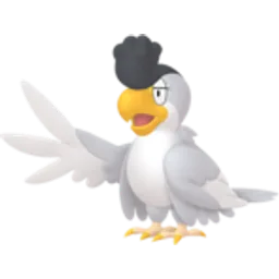 Squawkabilly-White