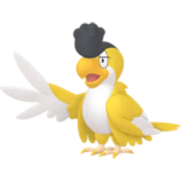 Squawkabilly-Yellow